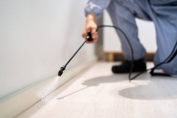Licensed Mosquito Control service in Germantown Hills, IL - Show Me Pest Control