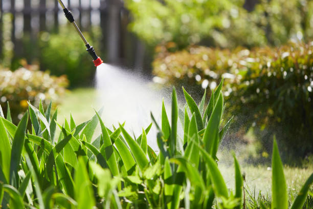 24/7 Emergency Mosquito Control experts in Germantown Hills, IL