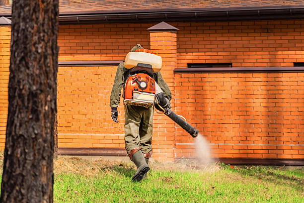 Top rated local Mosquito Control specialists in Germantown Hills, IL